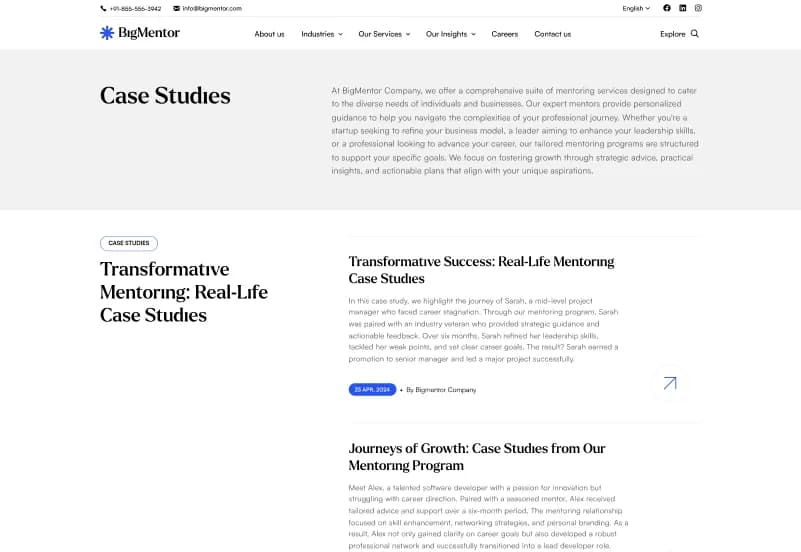 Bigmentor — Business & CMS Admin Dashboard Next.js Website Template gallery image 10