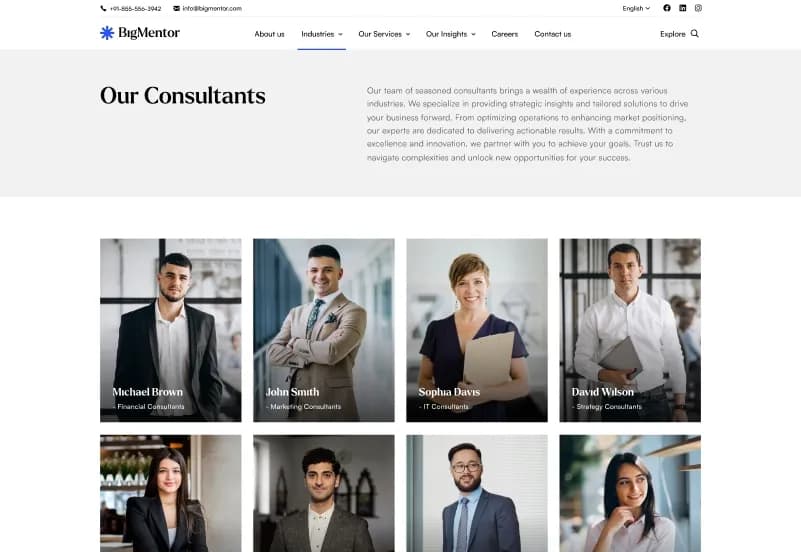 Bigmentor — Business & CMS Admin Dashboard Next.js Website Template gallery image 11