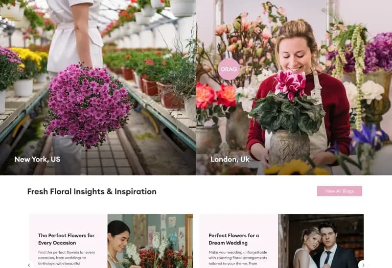 Blossom — Flower Shop eCommerce Figma Template gallery image 7