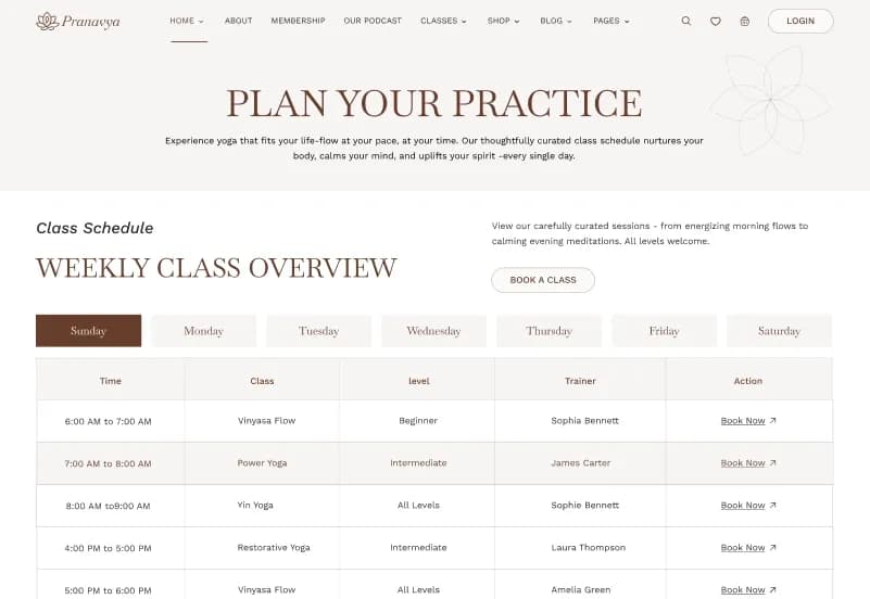 Pranavya Yoga — Next.js JSON Yoga Studio Website Template gallery image 8