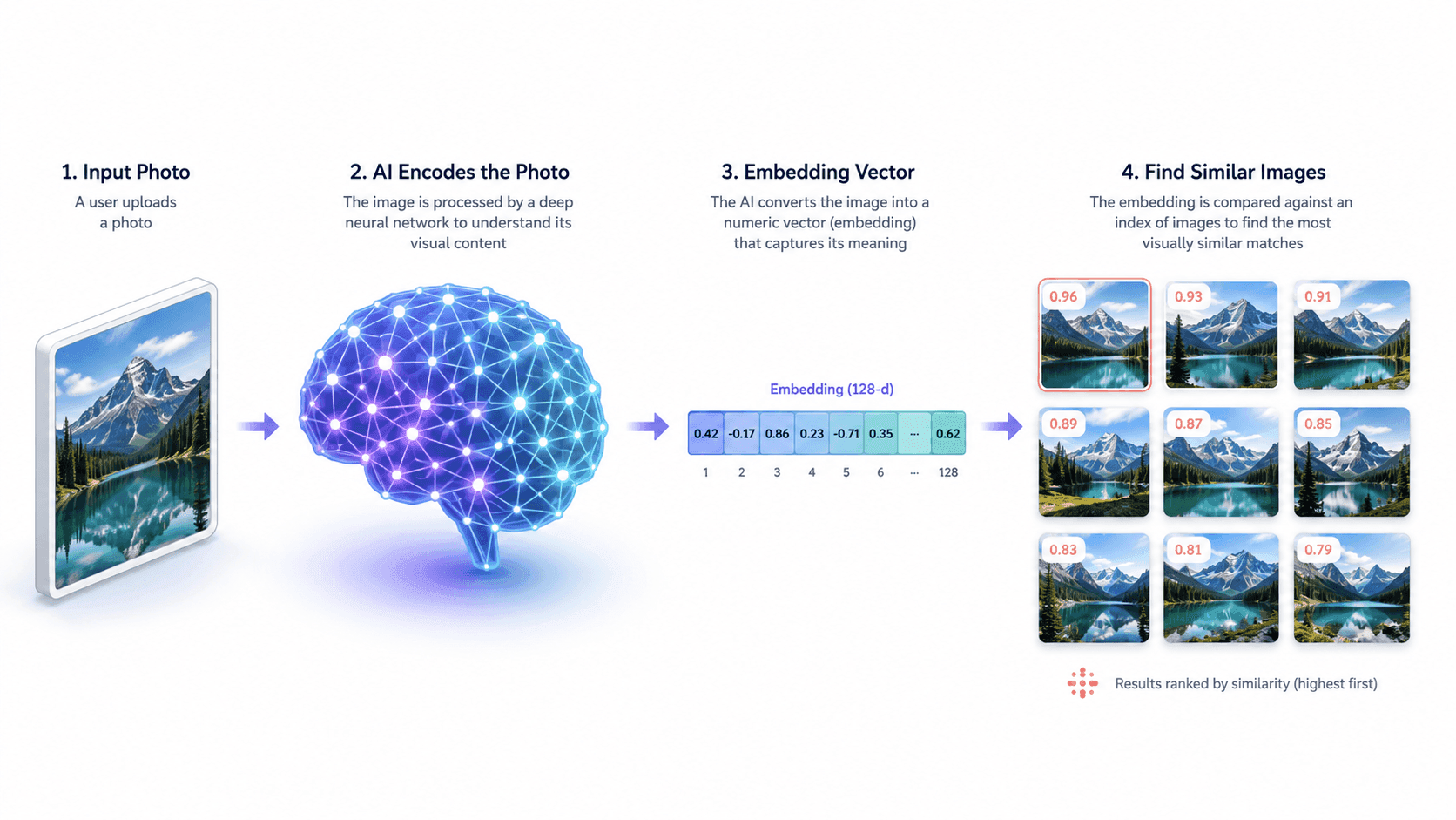 How Image Search Works: Algorithms, AI, and Visual Recognition Explained - Blog post by WebbyCrown Solutions