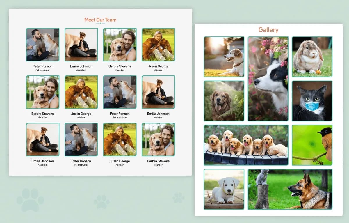 PetsPlay — Pet Care & Veterinary Statamic Starter Kit gallery image 5