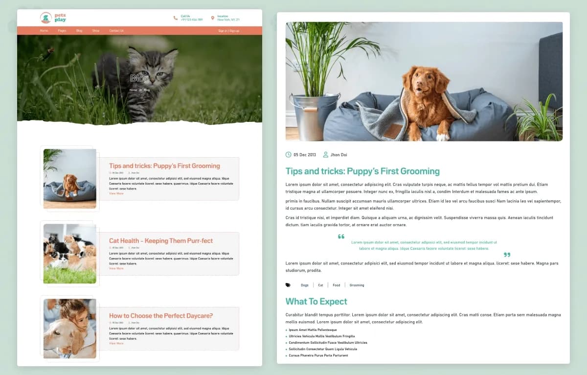 PetsPlay — Pet Care & Veterinary Statamic Starter Kit gallery image 6